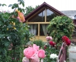 Flori